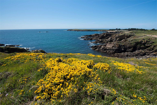 Photo N. Job-Heos-Marine