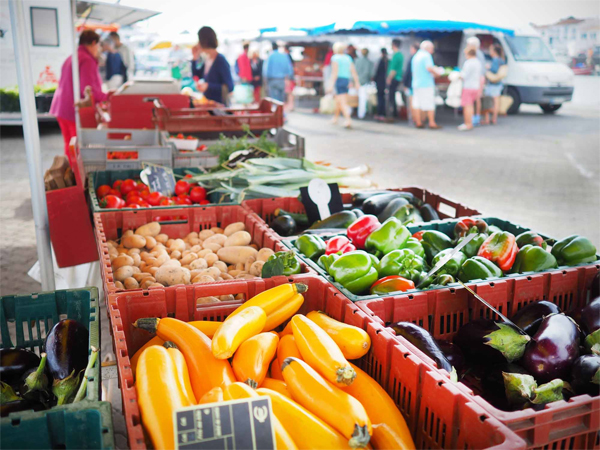 Photo Th. Le Gourrierec