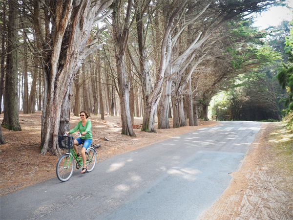 Photo Th. Le Gourrierec