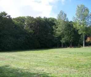 françoise roussière