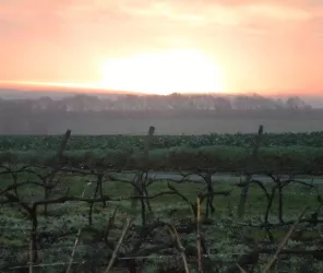 ©Domaine de la Gironière