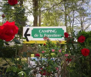 Copyright : La Forestière