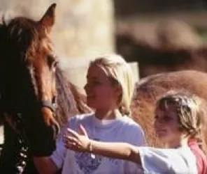 ©Pierre-Olivier-Douesnard