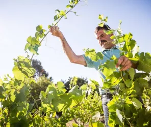 Domaine Landron Chartier