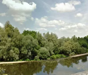 © Hortense Boistault