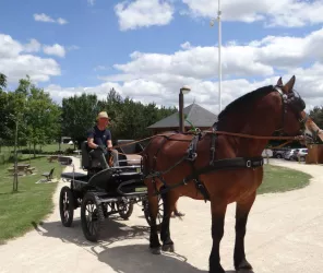 ©La Calèche Lorétaine