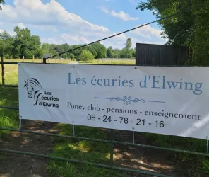Les écuries d'Elwing
