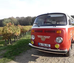 Loire Vintage Discovery