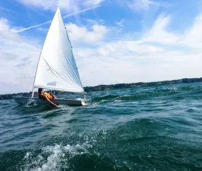 Michael Henry - Unsplash