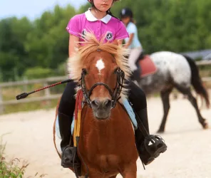 Centre équestre d'Ambrières les Vallées