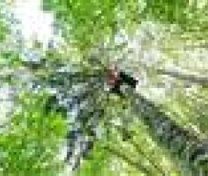 Frédéric Coquemont FREDERIC C FOTOGRAFIE