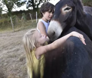 Pascal Beltramie - Mayenne Tourisme