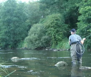 © Cyril LOMBARDOT, FDPPMA72