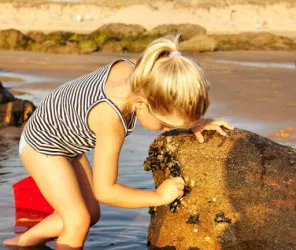 Pays de Saint Gilles Croix de Vie