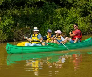 F LECHAT Photographe