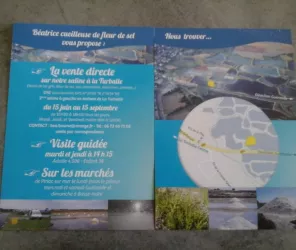 Au p'tit salé Guérande