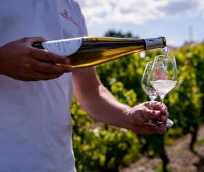 Le photographe du dimanche