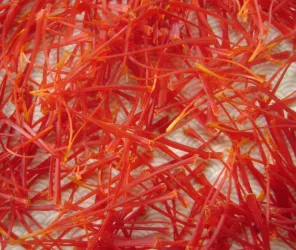 SAFRAN DE LA CÔTE DE JADE