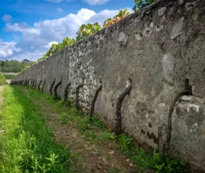 @Christophe-Gagneux-Pixim-Communication