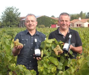 Domaine Martin Luneau