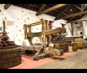 les chais de la cour