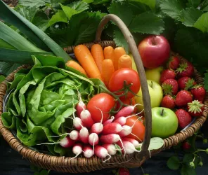 Ferme de la Chebuette