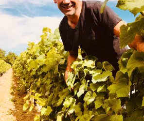 domaine bruno cormerais