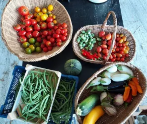 Aux jardins du soleil