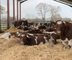 Ferme des Landières