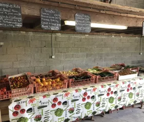 SCEA La Maison Blanche