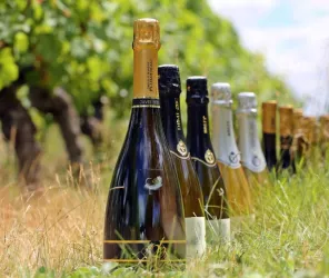 Domaine de la Gonorderie 