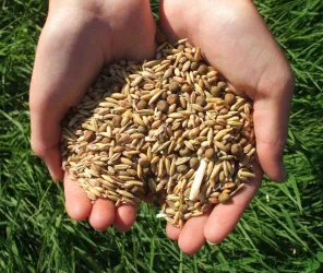 ©la-ferme-de-la-blairie