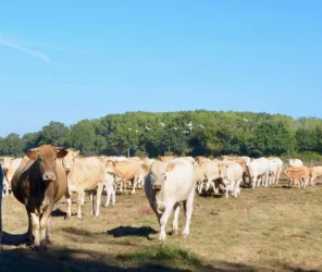 ©ferme-des-julinières