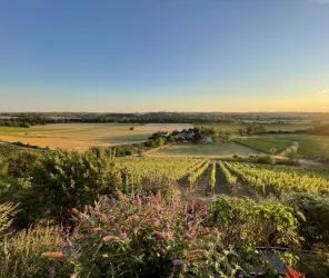 © Domaine des Coteaux Blancs