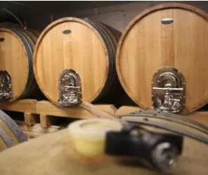 domaine du petit métris