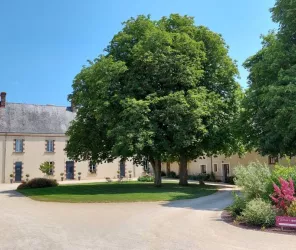 Tamboise-Grandsard-Deffois