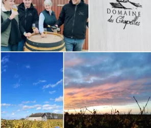 Domaine des Chapelles