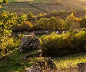 © Estelle Offroy Photographe