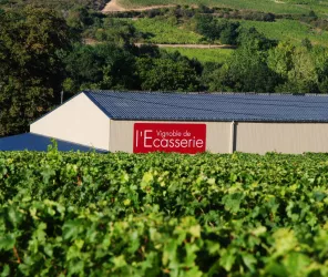 Vignoble de l'Ecasserie