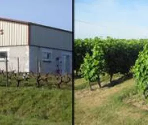 ©Domaine des Essarts