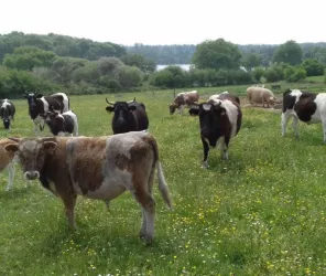 ©Ferme-de-Maubusson