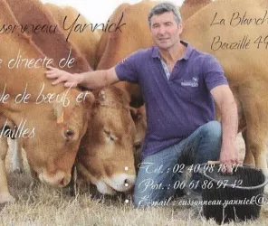 © Guylène Cussonneau