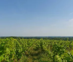 Domaine de la Créchette