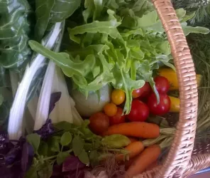 Jardin Maraîcher de la Virevolte