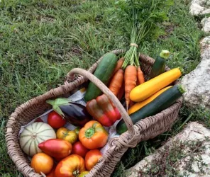 La ferme des Folies Champêtres