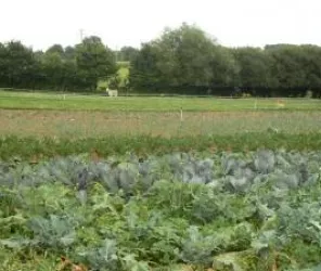 Des Clics au potager