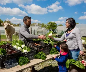© OT de Ste Suzanne - les Coëvrons