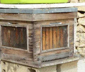 ruchers de la jouanne