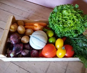 ©le jardin du bocage