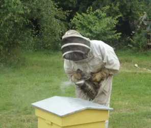 Office de tourisme de la 4CPS 